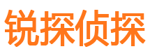 轮台市调查公司